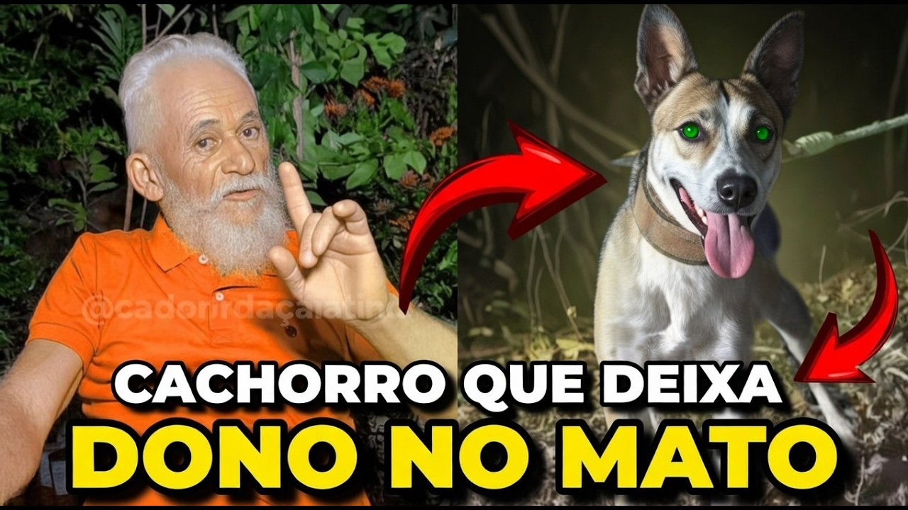 🔴 CACHORRO TE LARGOU NO MATO? O QUE FAZER?