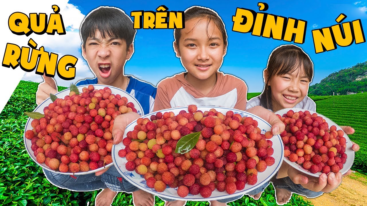 Thái Chuối | Dẫn Team Đi Vặt Thanh Mai Rừng - Hành Trình Leo Núi Gian Nan Vất Vả
