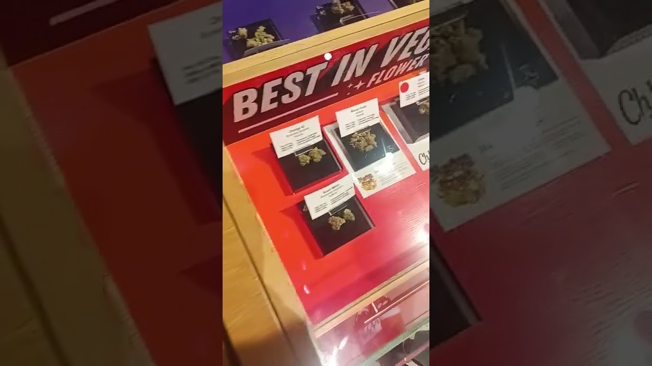 planet 13 the best marijuana spot in las vegas