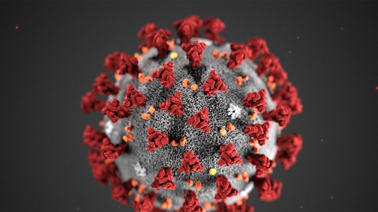 Coronavirus NC: State leaders discuss coronavirus response as COVID-19 cases increase in Wake County