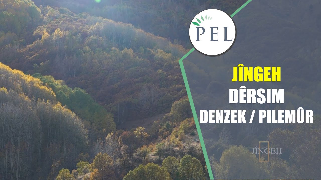 JÎNGEH - DÊRSIM - DENZEK / PILEMÛR