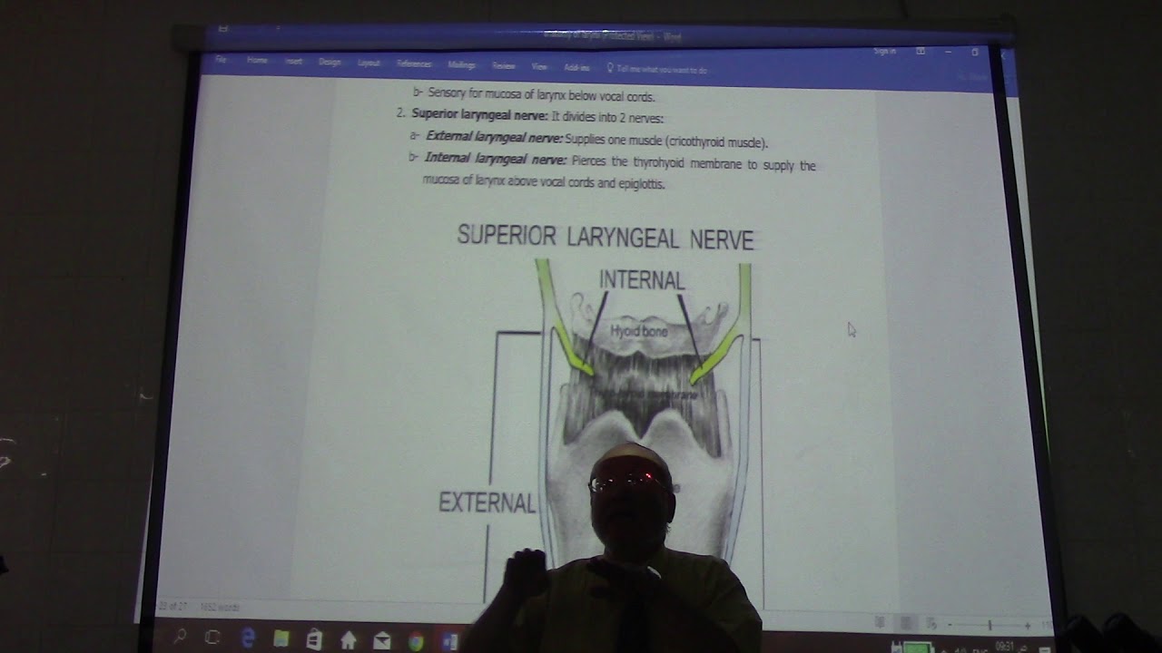 Respiratory  Module 14 or  head & neck 70 ( Larynx , part 6 ) , by Dr. Wahdan
