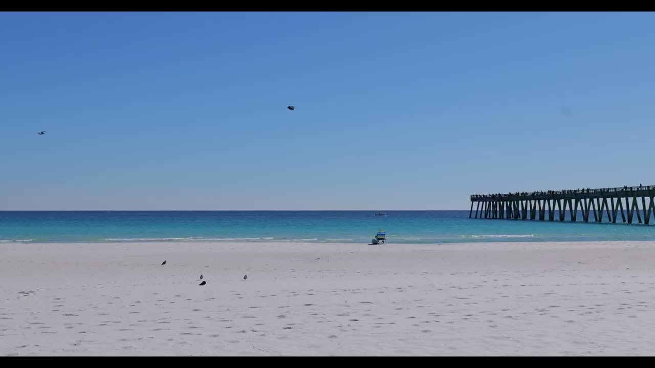 sitonearth | Life is a Beach