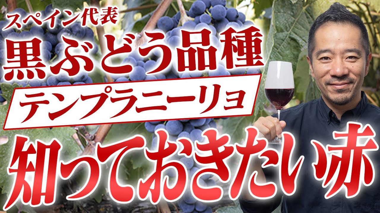 これだけ観ておけばテンプラニーリョは大丈夫！スペインレストランへでかけよう！