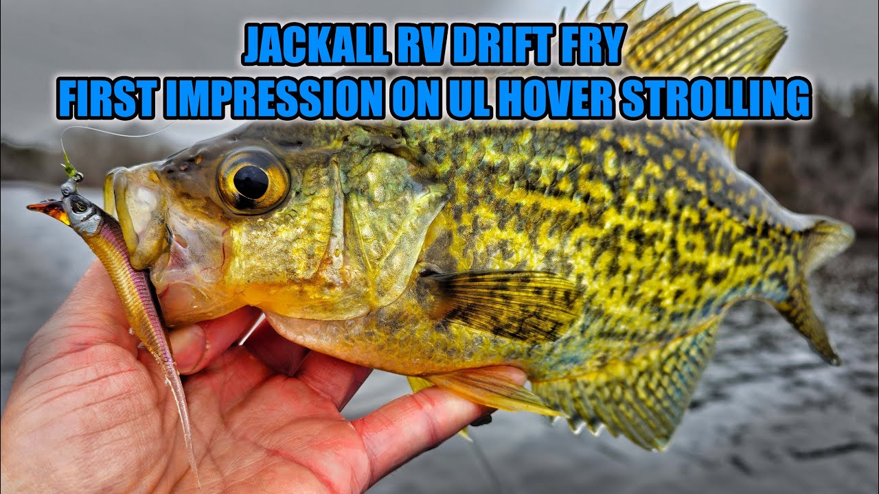 Jackall RV Drift Fry First Fishing Impression Hover Strolling