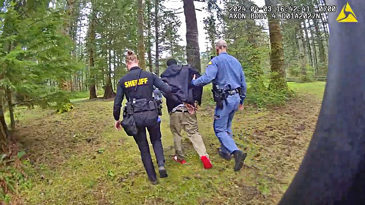 Police Drag Suspect Out of Woods After Wild Pursuit