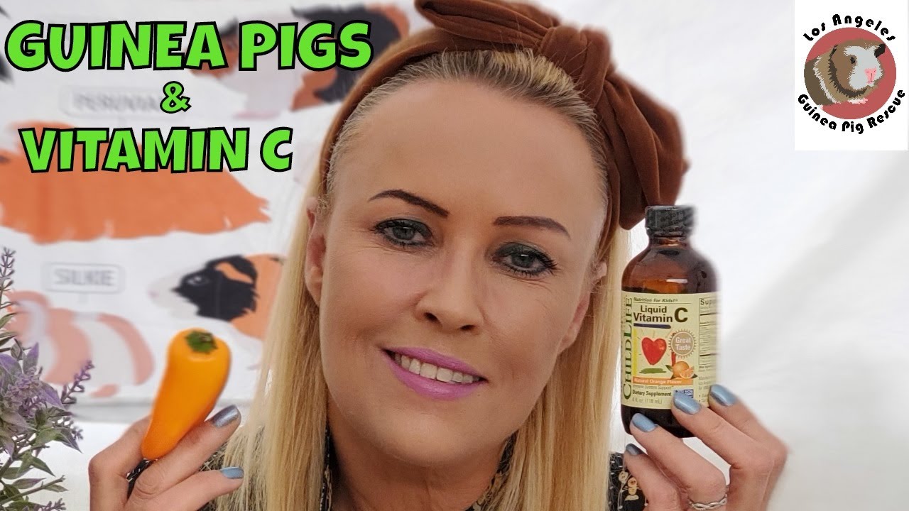 Guinea Pig Vitamin C Supplementation?