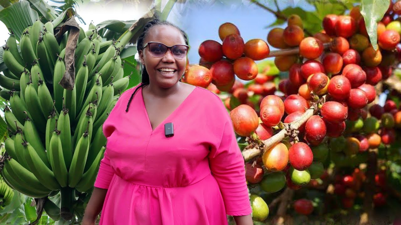 Housewife Becomes Millionaire Through Matooke & Coffee Farming In Eastern UGANDA Mbale