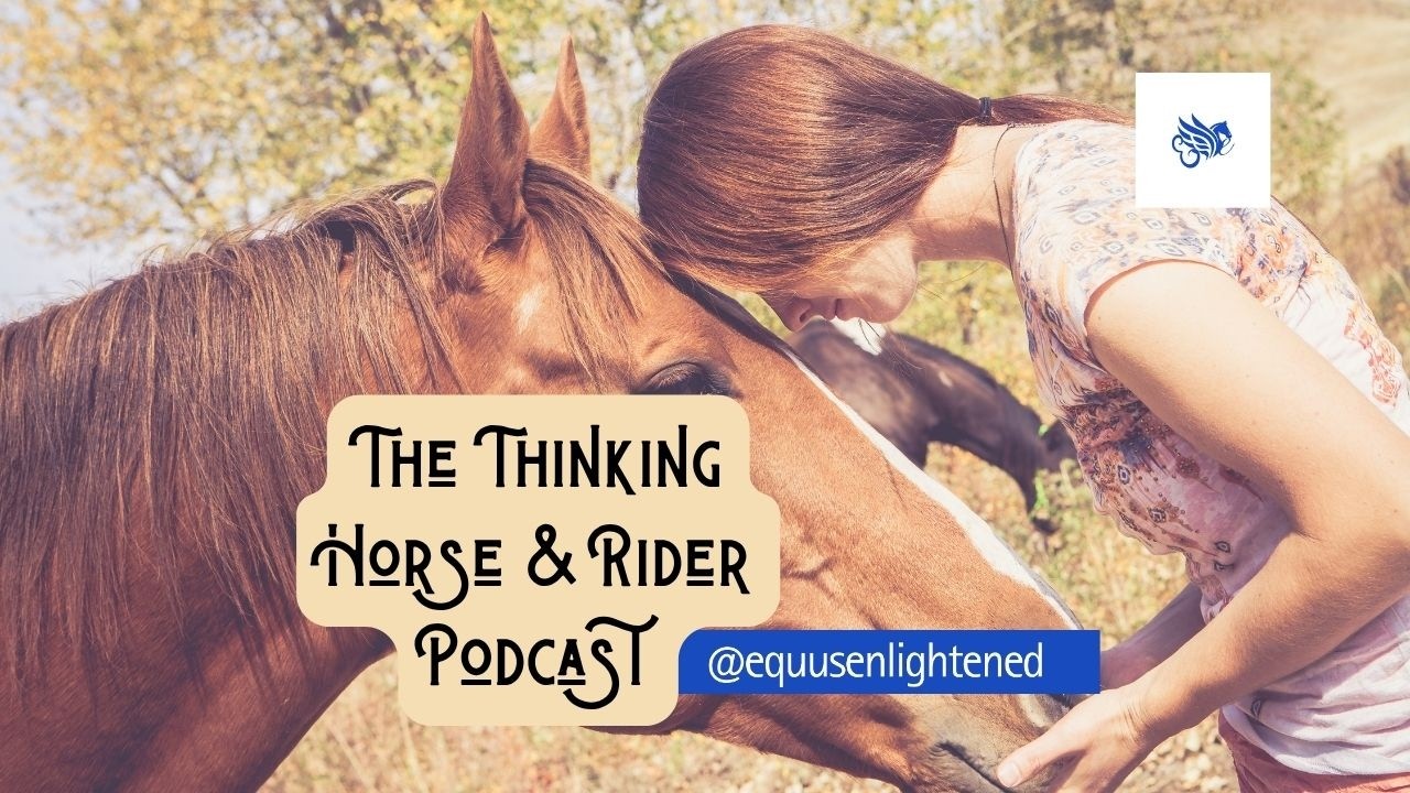 What Riding Lessons Don’t Teach You (But Your Horse Needs Most)
