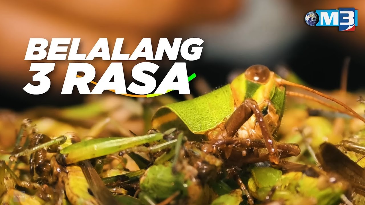 [FULL] Majalah 3 (2023) | 10 Jul - Belalang 3 Rasa