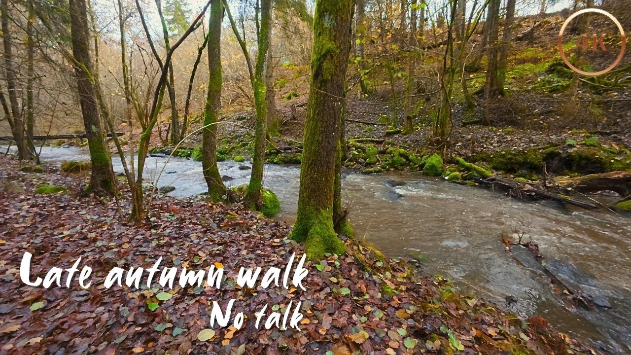 Quiet Stroll Along the River – Autumn Ambience - ASMR walk in 4k