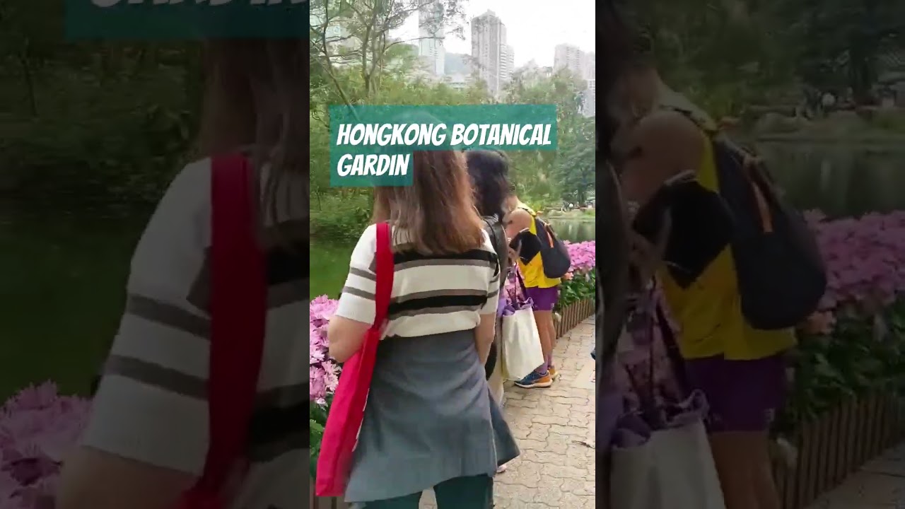 #Botanical hongkong gardin❤️ #beaytifulplace