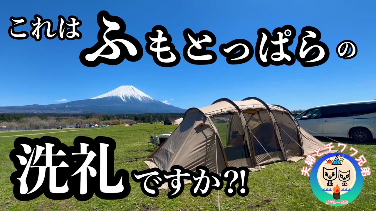 アルニカ負傷【犬連れ夫婦キャンプ】ワンコが涙を流すそのワケは… 【ふもとっぱら】意外と簡単キャンプ飯 本格的スパイスカレーに挑戦!