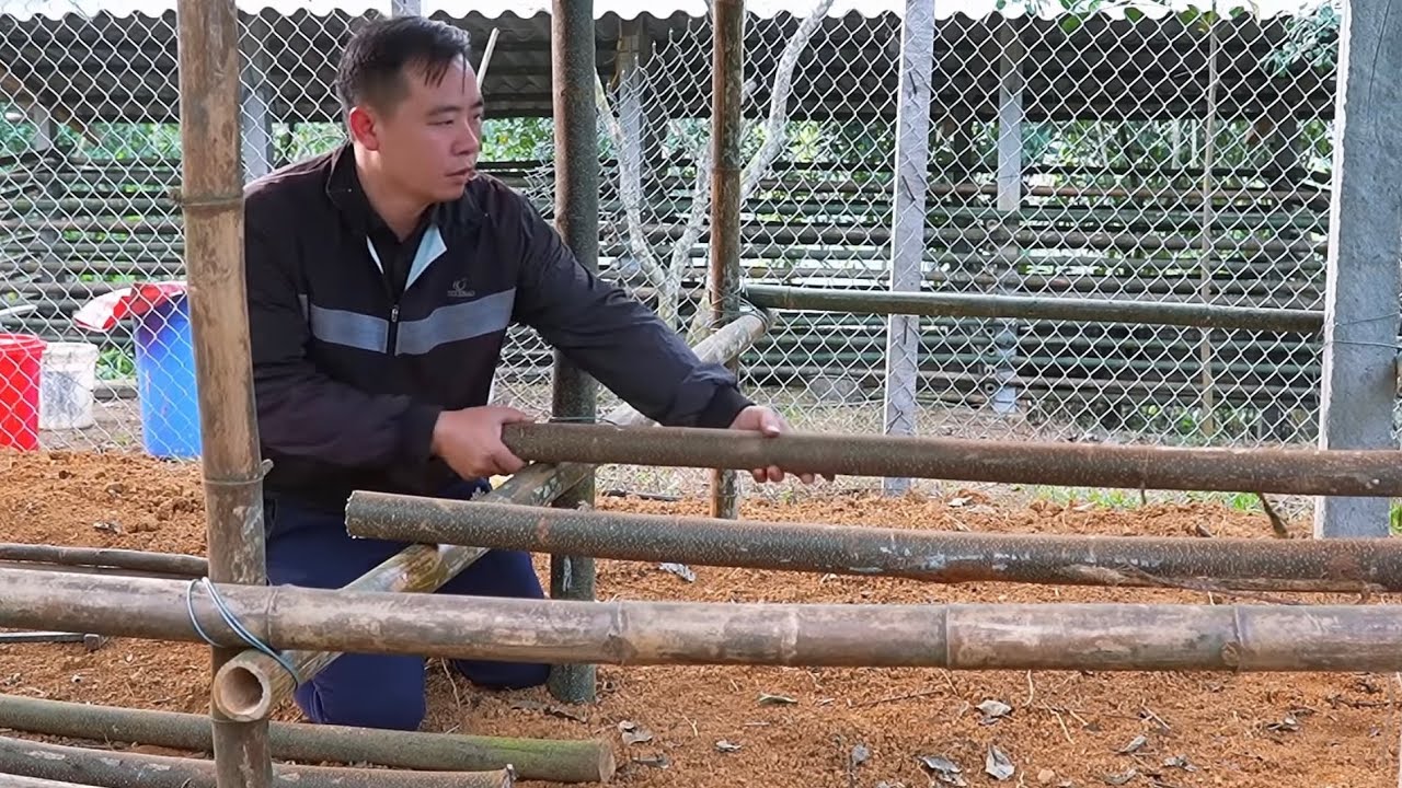 Jony's difficulties when moving to the new farm.