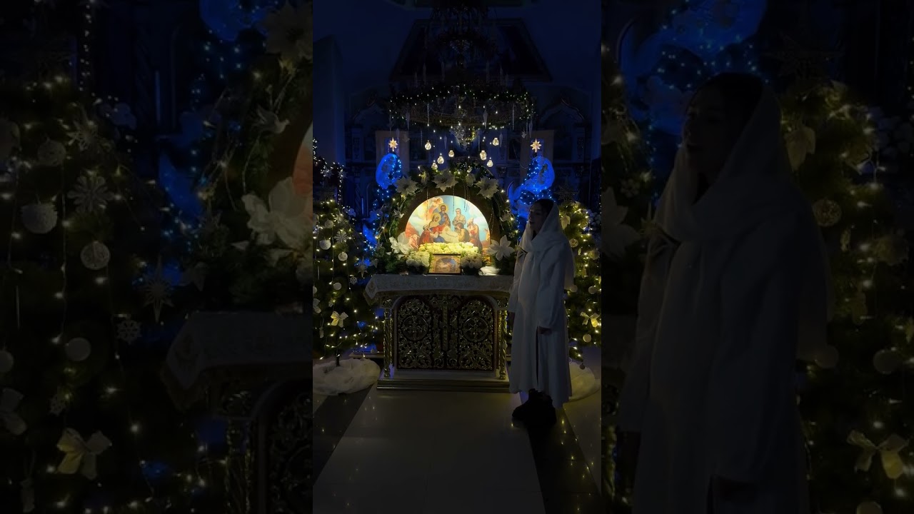 Діана Токар 