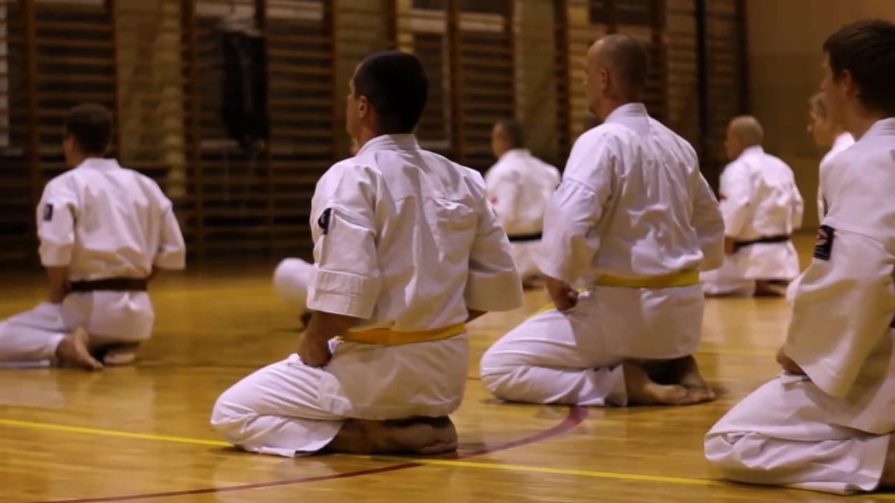 Karate - Festiwal Sztuk Walk - Jastrzębie-Zdrój