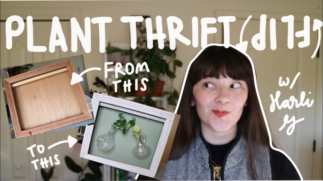 PLANT TRIFTFIP С HARLI G | Самодельные растения из комиссионного магазина!