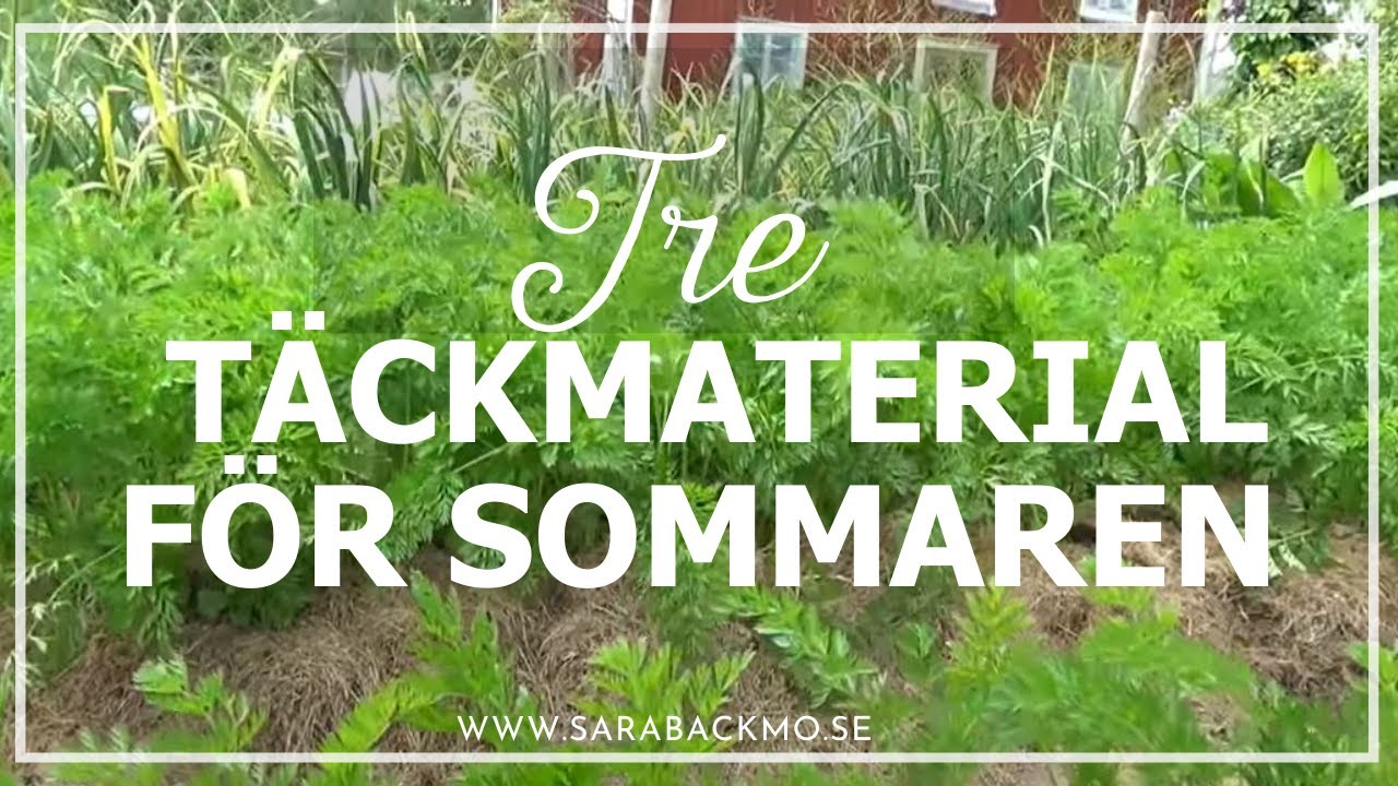 Tre täckmaterial för sommaren