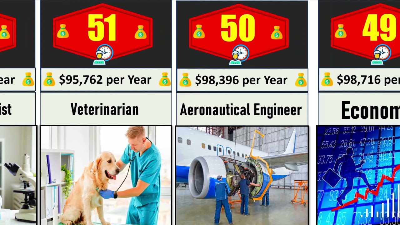 Highest Paying Jobs in the World  2021 -Careers Comparison