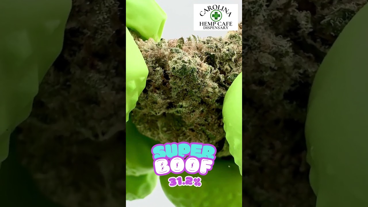 SUPER BOOF REVIEW