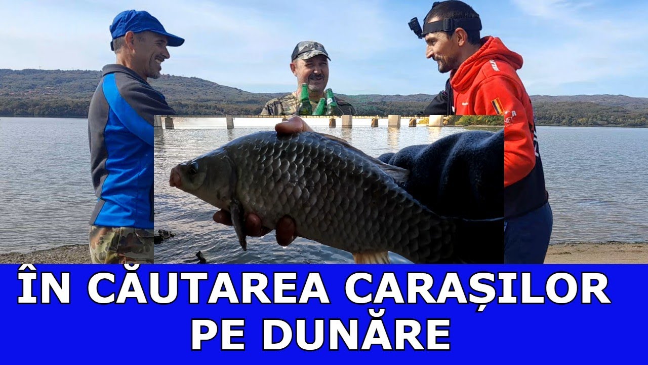 PESCUIT LA DUNĂRE CU PEPE ȘI MARIAN-OCTOMBRIE 2024-LOCAȚII NOI