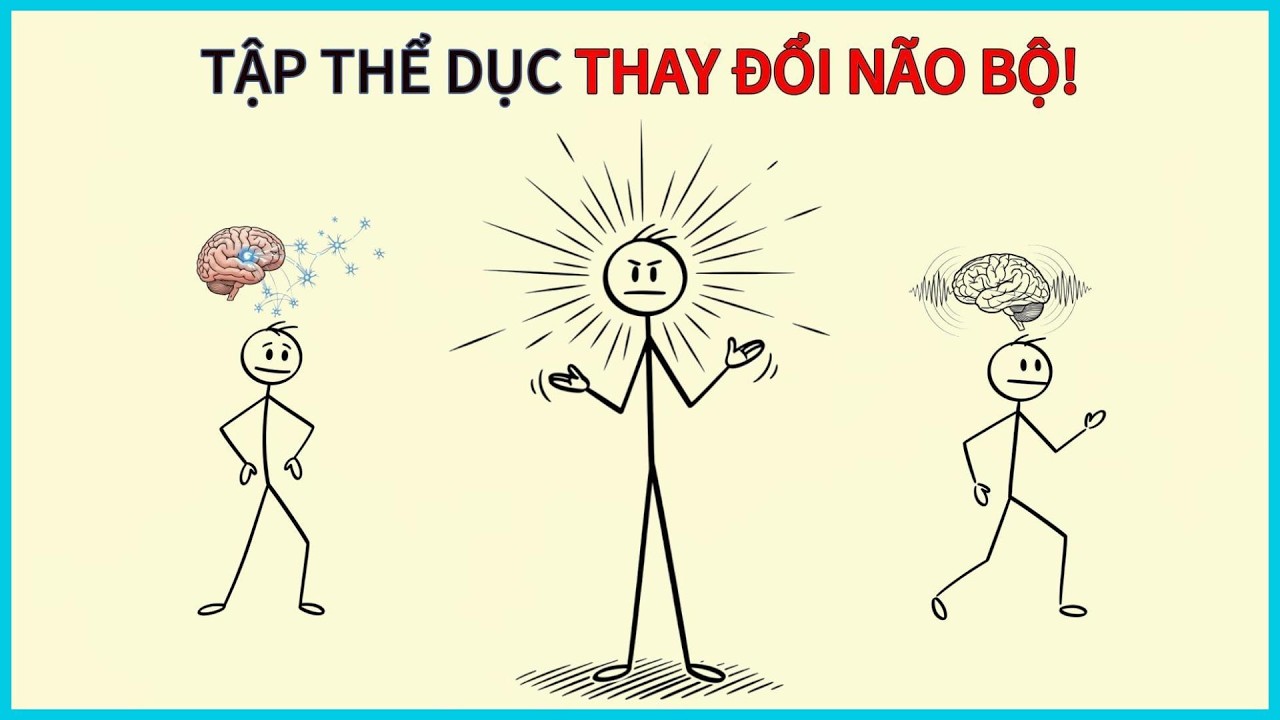 4 LỢI ÍCH THAY ĐỔI NÃO BỘ NHỜ TẬP THỂ DỤC