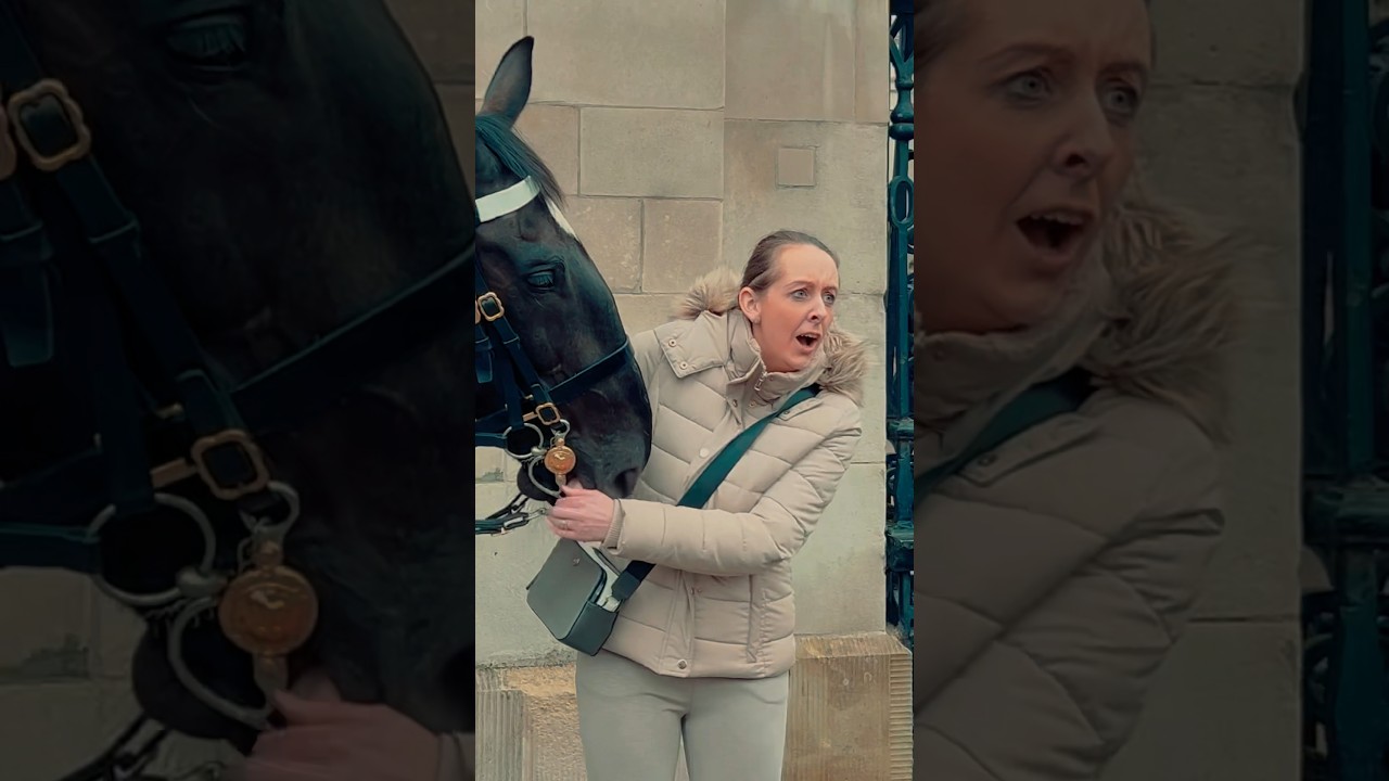 Royal Guard Horse BITES DOWN! | Horse Guards, Royal guard, Kings Guard, Horse, London, 2024