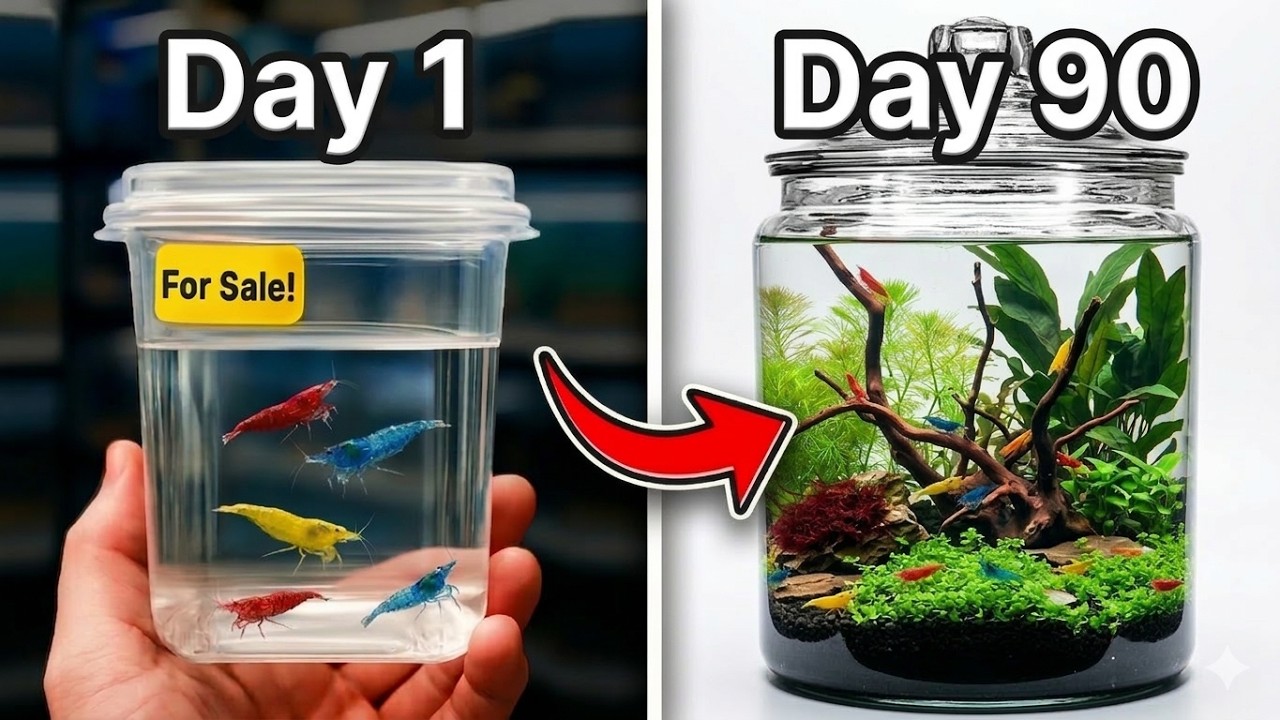 I Sealed Shrimp in a Jar for 90 Days..