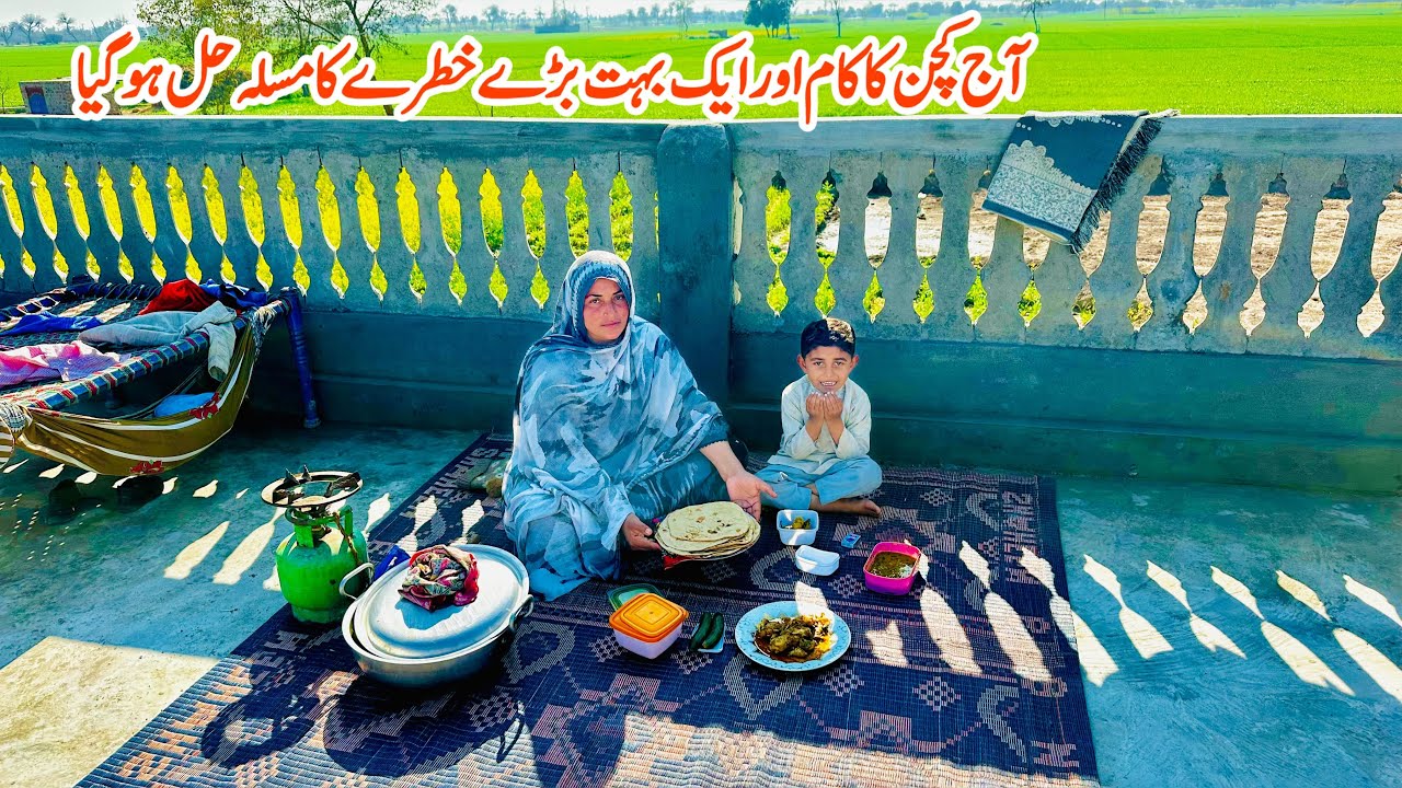 Boht Bara Khatra Thaa, Masla Hal Ho Gya 🏚️🛖II Village Dream House Pakistan