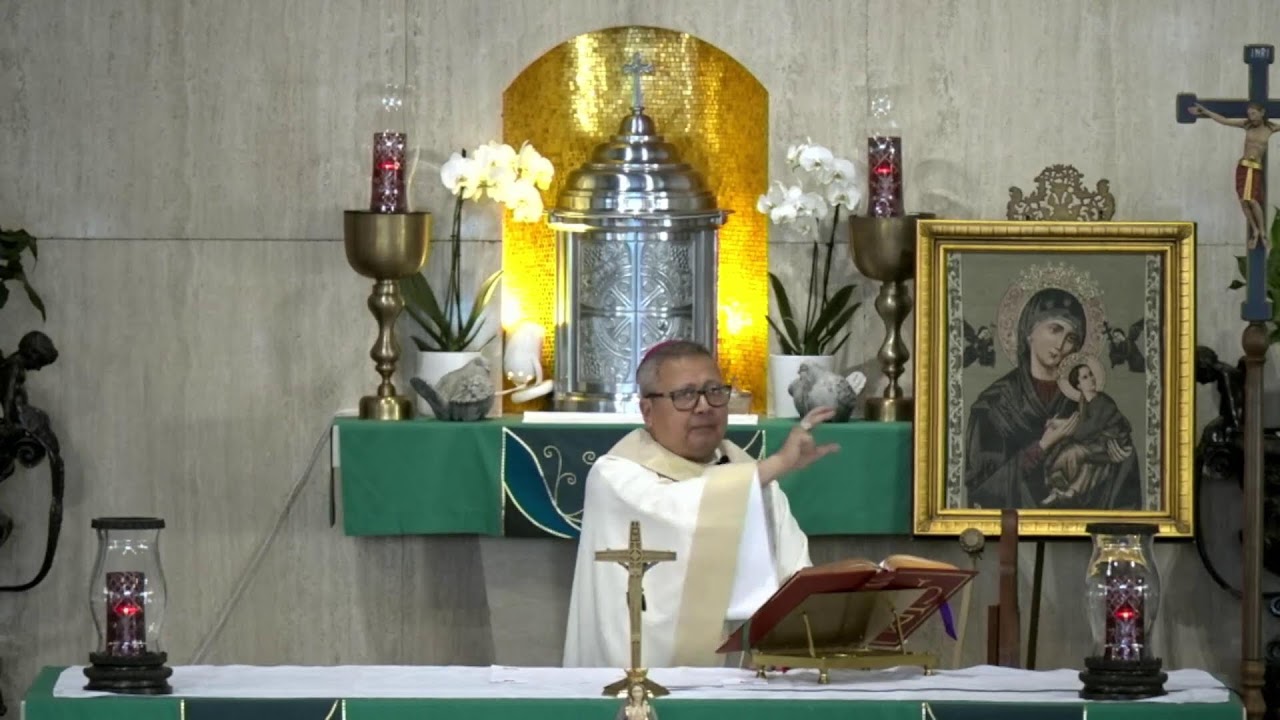 02.11.2026 | Wednesday, Feast of Our Lady of Lourdes