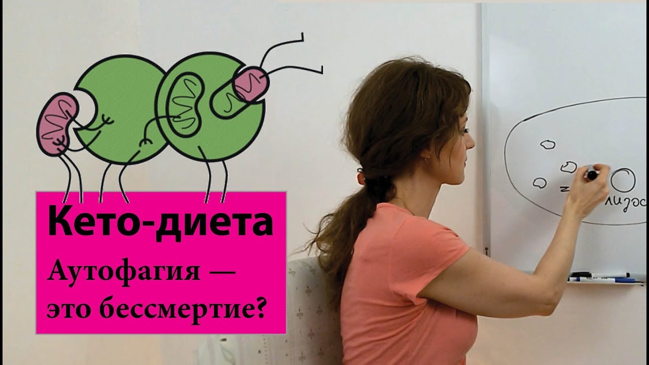 Аутофагия - путь к бессмертию?