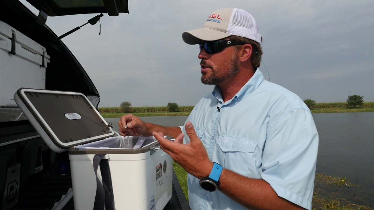 Engel Cooler's New Live Bait Cooler