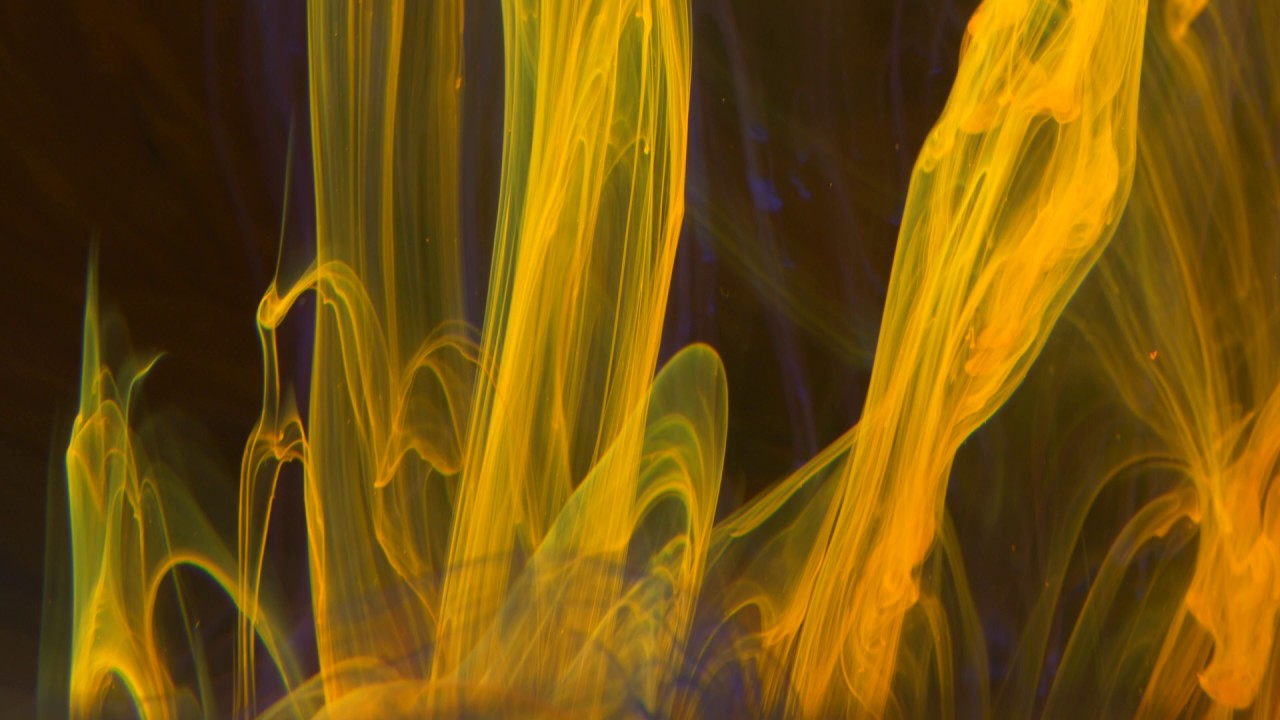 Macro Shot with Yellow Liquid Substance 4 - Free Stock Footage