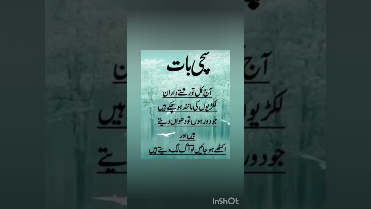 #islamicstatus#quotes#islamicpoetryinurdu#islami#islamistories#growmyaccount#subscribe#shorts