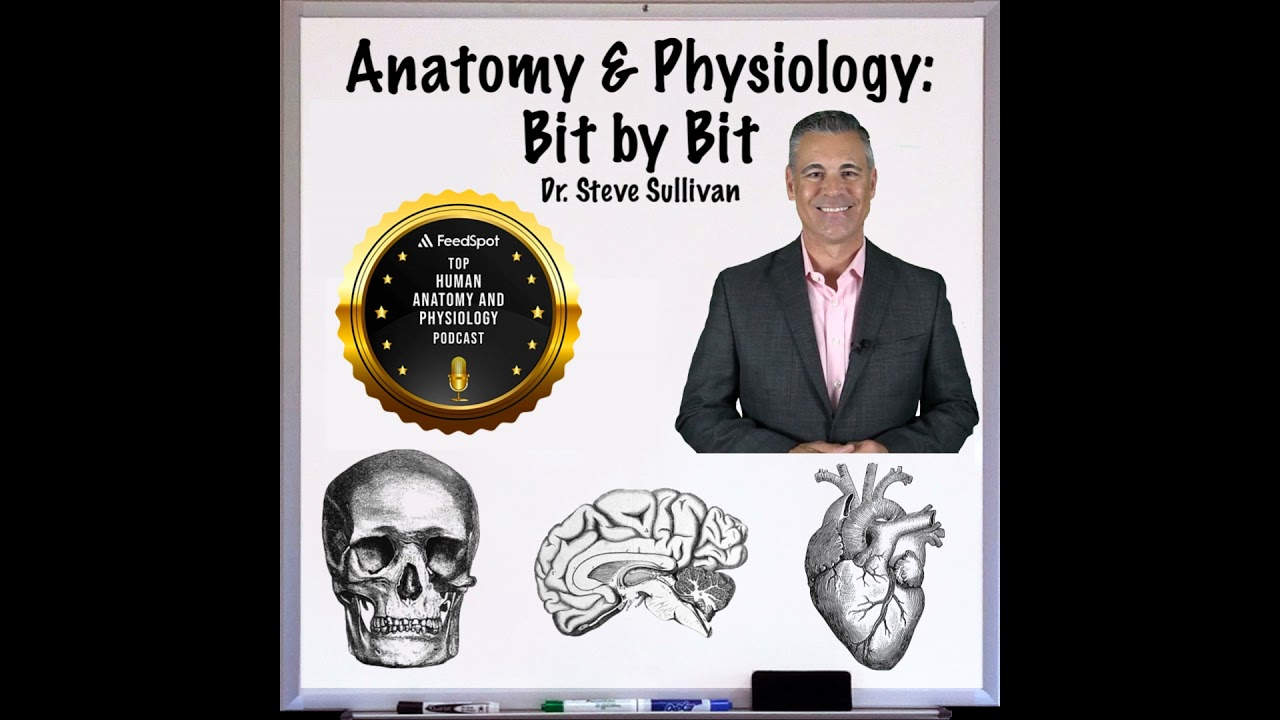 REBOOT: Characteristics of Life & Homeostasis - Episode 2