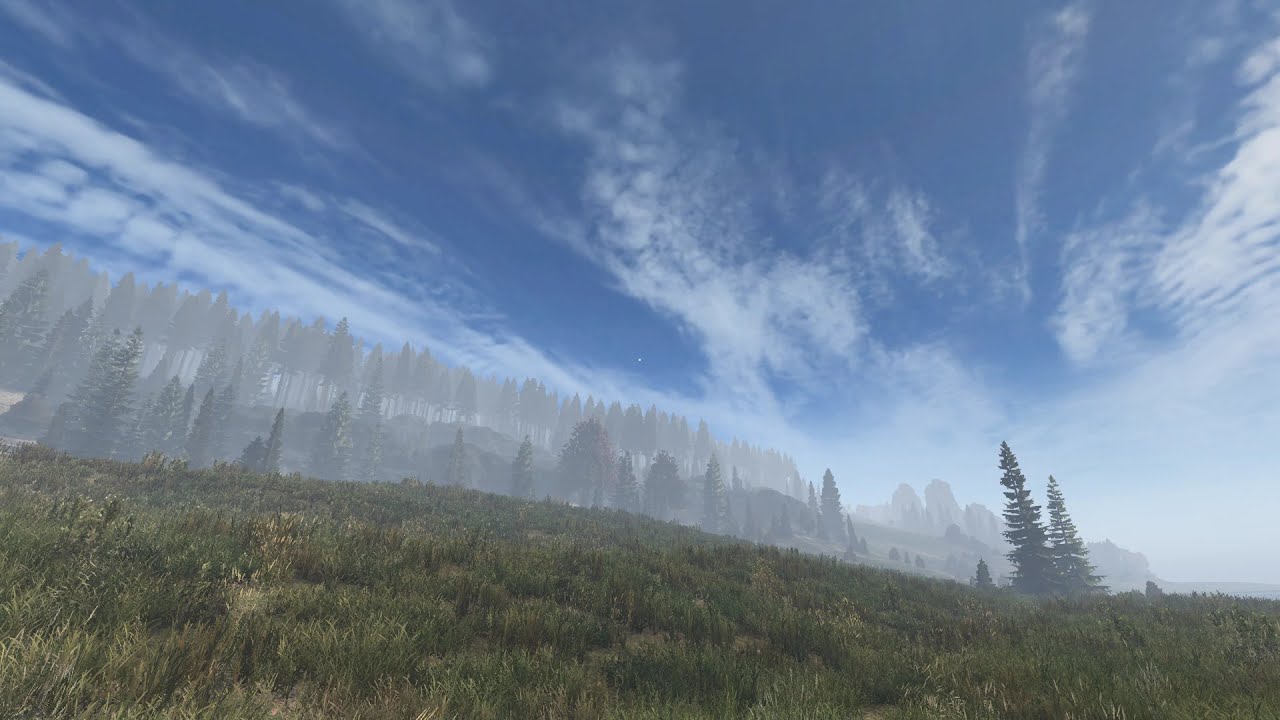 DAYZ 1.23 ВЫЖИВАНИЕ #1 | Старт с нуля | Берег | NFR | PVE | PVP ZONE TISY-SKALISTY | VANILLA NO MOD