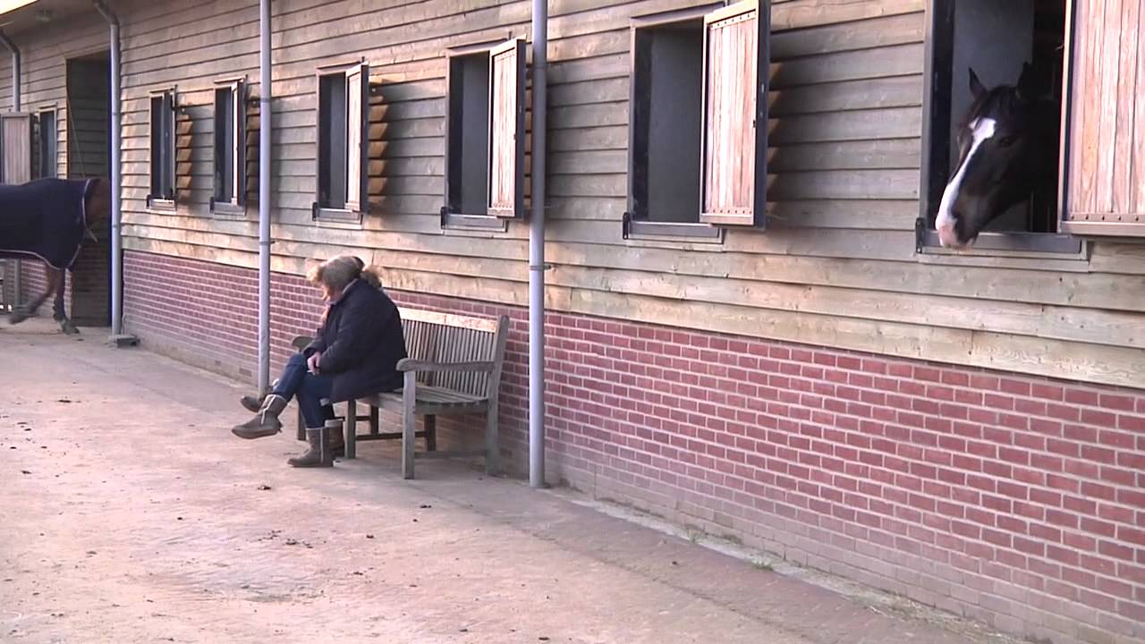 Pensionstal De Dijckhoeve