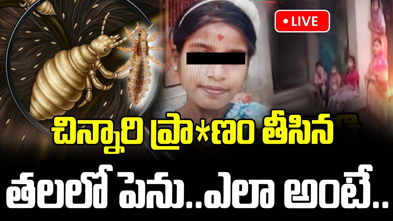 Live : చిన్నారి ప్రా*ణం తీసిన తలలో పెను.. ఎలా అంటే.. | Head Lice Infestation | Odissa Latest News