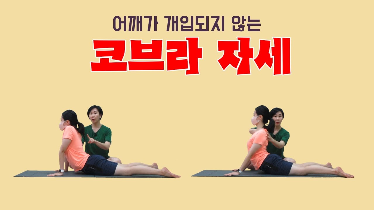 [마름모코어 시즌 1-282] 코브라 / 어깨가 개입되지 않아야 척추 신전에 도움이 됩니다 / 톱니근들을 활용한 코브라 자세