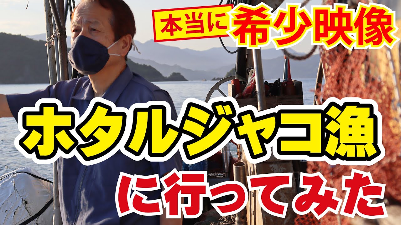 世界でもほとんどいない！ホタルジャコ専門漁師が宇和島にいた｜兄弟漁師が獲る極上ホタルジャコ漁の秘密に迫る！
