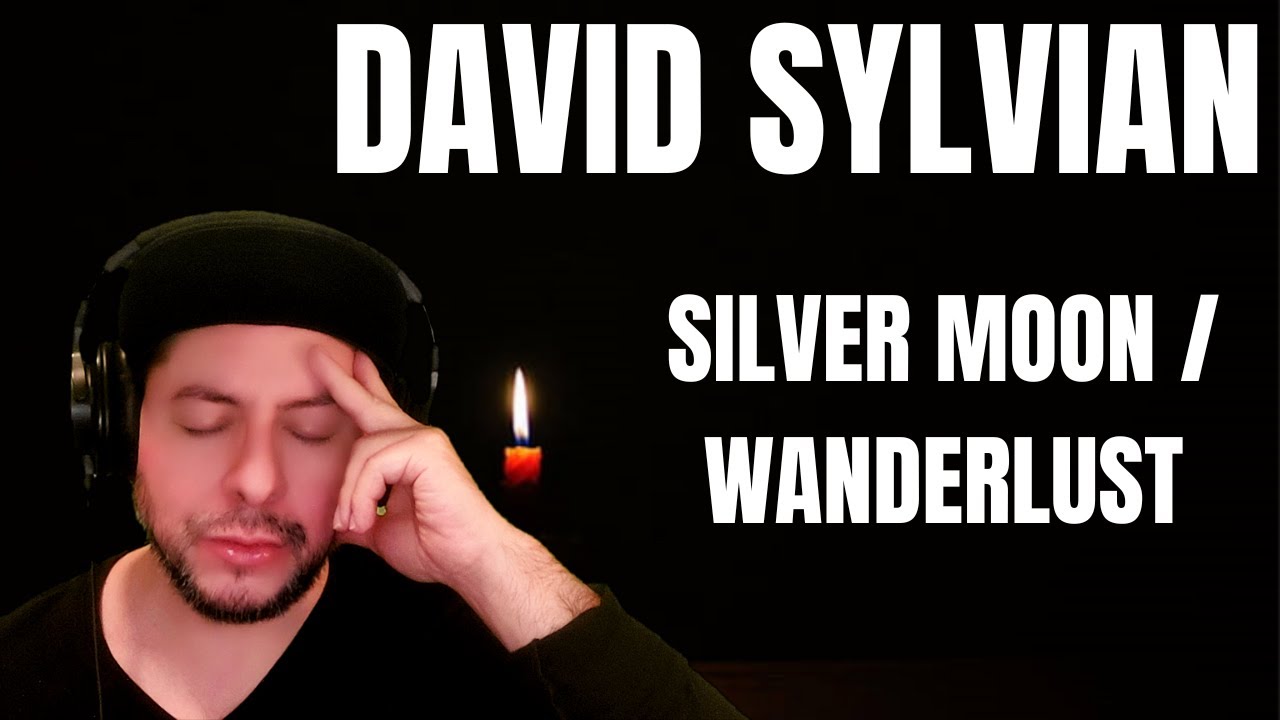 FIRST TIME HEARING David Sylvian- 