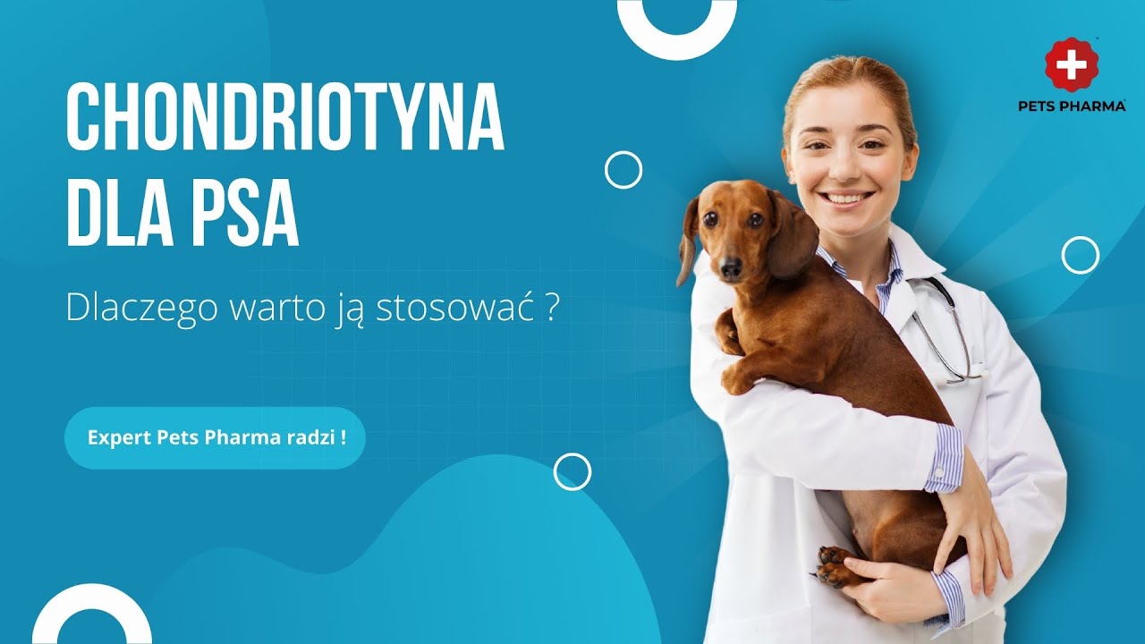 Chondroityna dla psa - Dlaczego warto ją stosować ?