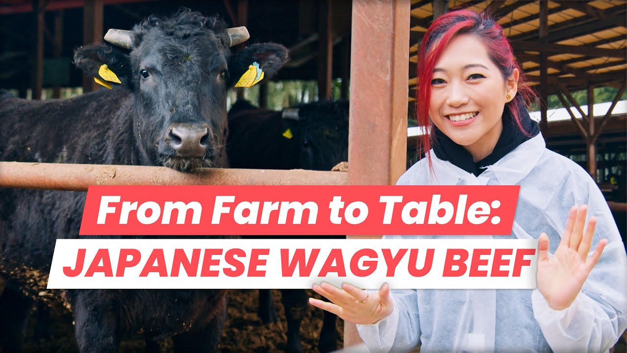 The Journey of Japanese Wagyu: From Kobe Beef Farm to Osaka Yakiniku Restaurant!
