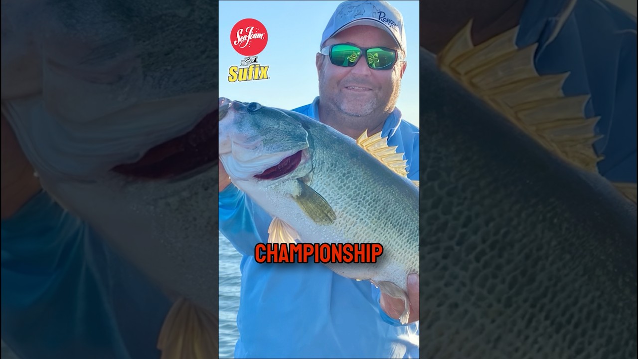 WHO will win the $1 MIL BASS tournament??? #Bass #fishing #bassfishing #shorts