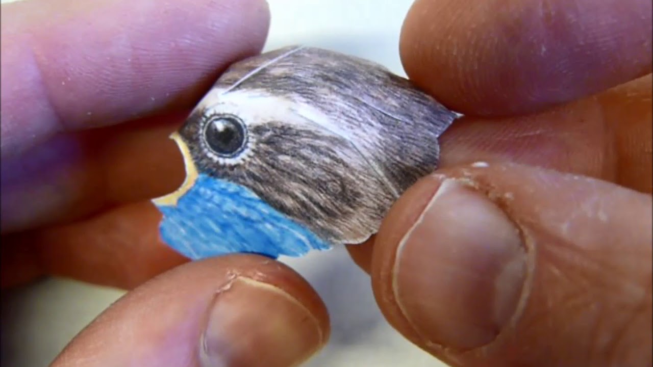 How to make the paper Bluethroat.