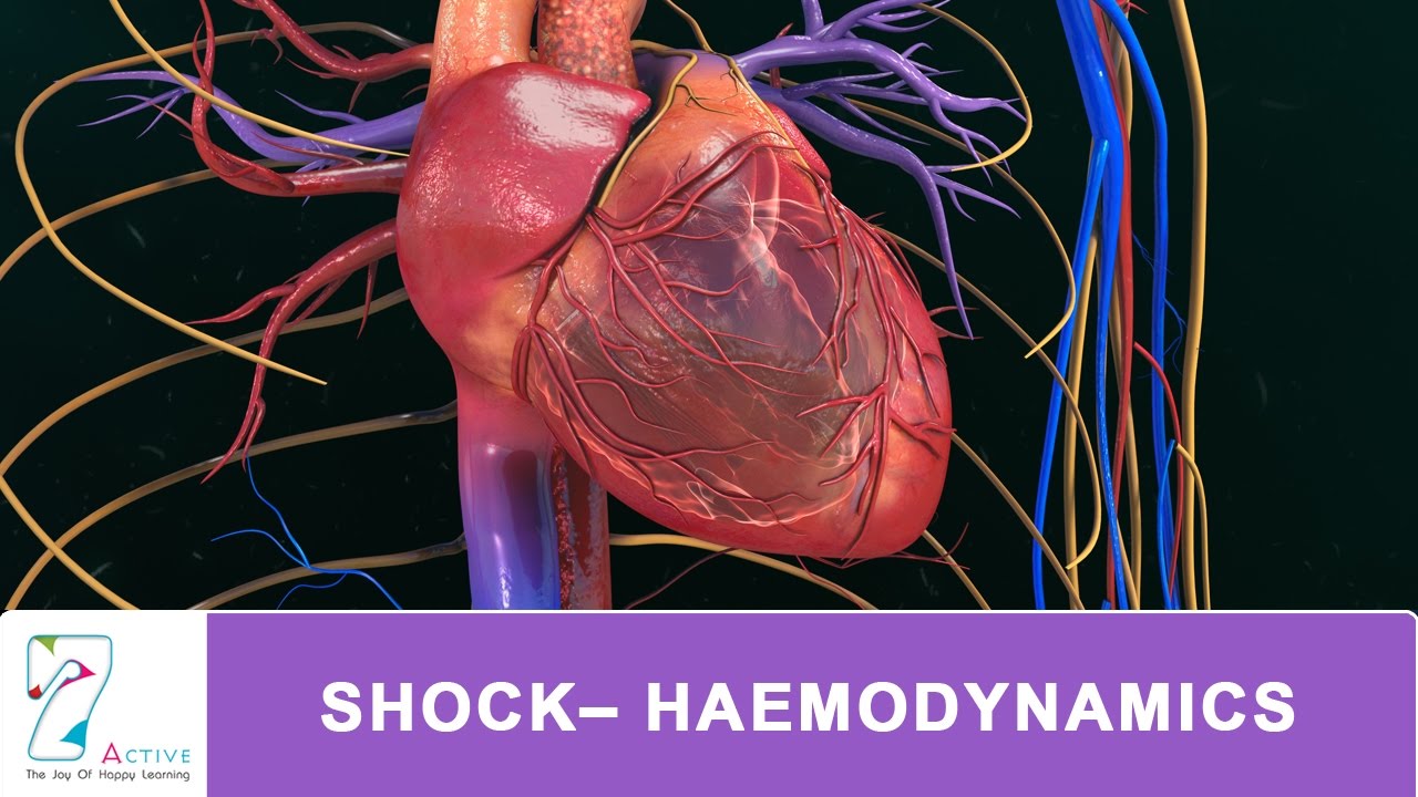 SHOCK&ndash; HAEMODYNAMICS