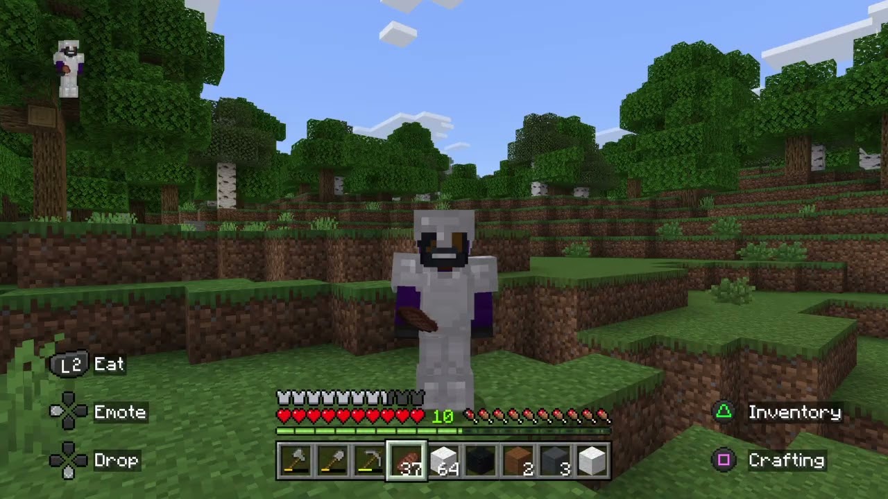 Minecraft the craft center (new years special)