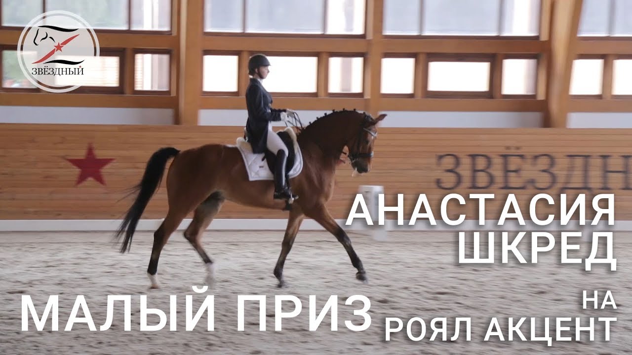 Анастасия Шкред на Роял Акцент. Выездка. Малый приз - 67.157% 1 место