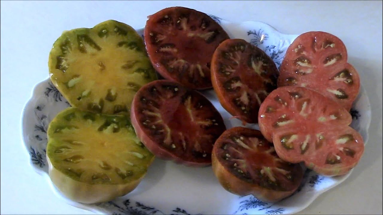 Дегустация и оценка 4 разных сортов карликовых томатов по вкусу и общим характеристикам
