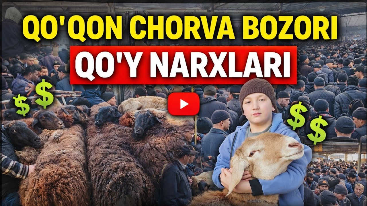 QOʻQON CHORVA BOZORI QOʻY NARXLARI 18.02.2026✅️✅️✅️✅️